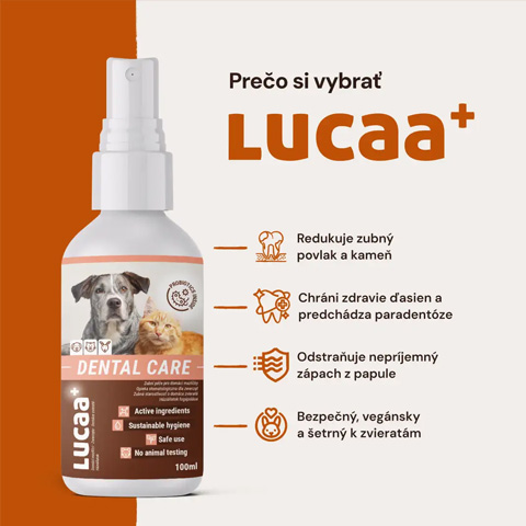 Provilan Dental sprej 100ml Lucaa foto2